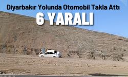 Diyarbakır Yolunda Otomobil Takla Attı 6 Yaralı