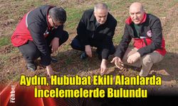 Aydın, Hububat Ekili Alanlarda İncelemelerde Bulundu