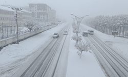 Bitlis’te kar onlarca köy yolunu kapattı