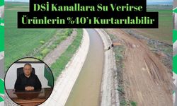 DSİ Kanallara Su Verirse Ürünlerin %40’ı Kurtarılabilir