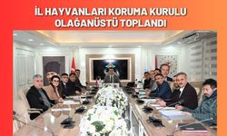 İl Hayvanları Koruma Kurulu Olağanüstü Toplandı