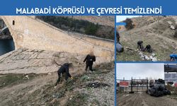 Malabadi Köprüsü ve Çevresi Temizlendi