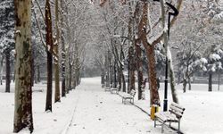 Meteoroloji birçok bölgeyi yağmur ve kar yağışınına karşı uyardı