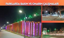 Parklarda Bakım ve Onarım Çalışmaları