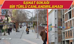 Sanat Sokağı Bir Türlü Canlandırılamadı