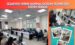 Sezaryen Yerine Normal Doğum Teşviki İçin Eğitim Verildi