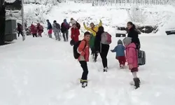 Li çend bajarên welêt ji ber berf û bagerê mekteb hatin tatîlkirin