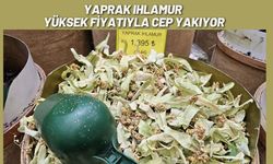 Yaprak Ihlamur Yüksek Fiyatıyla Cep Yakıyor