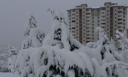 Yurdun birçok yeri kar yağışının etkisinde!