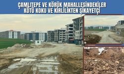 Çamlıtepe ve Körük Mahallesindekiler Kötü Koku ve Kirlilikten Şikayetçi