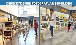 Dereceye Giren Fotoğraflar Sergilendi