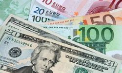 Dolar ve Euro yükselişini sürdürüyor