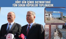 Dört Gün İçinde Batman’daki Tüm Sokak Köpekleri Toplanacak