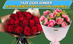 Taze Çiçek Gönder: Sevdiklerinize Ferah ve Canlı Dokunuş