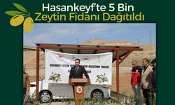 Hasankeyf’te 5 Bin Zeytin Fidanı Dağıtıldı