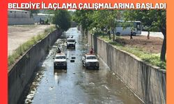 Belediye İlaçlama Çalışmalarına Başladı