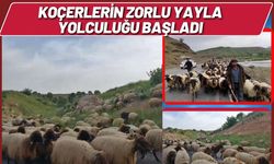 Koçerlerin Zorlu Yayla Yolculuğu Başladı