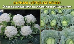 Batmanlı Çiftçilere Müjde! Ücretsiz Karnabahar ve Lahana Fideleri Dağıtılıyor