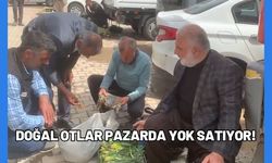 Doğal Otlar Pazarda Yok Satıyor!