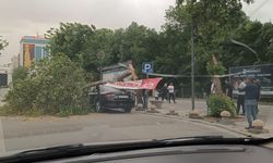 Fırtına ağaç devirdi! Araba altında kaldı!