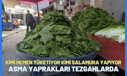 Kimi hemen tüketiyor kimi salamura yapıyor: Asma yaprakları tezgahlarda