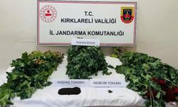 Kırklareli'nde uyuşturucu operasyonu: 8 gözaltı
