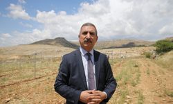 Prof. Dr. Doğan: Anız yakmakla sadece toprağı değil, geleceğimizi de yakıyoruz