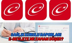 Sağlık Kurulu Raporları E-Devlete Ne Zaman Düşer?