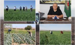 Türkiye'nin kalıcı bir tarım politikasına ihtiyacı var