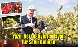 Yazın Bereketiyle Parlayan Bir Şehir, Batman