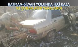 Batman-Silvan Yolunda Feci Kaza: İki Çoban Ağır Yaralandı