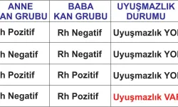 a rh pozitif anne baba çocuğun kan grubu ne olur?