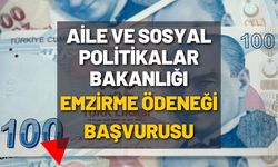 Aile ve Sosyal Politikalar Bakanlığı Emzirme Ödeneği Başvurusu