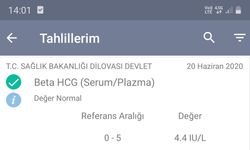 E-nabız gebelik testi sonucu nasıl belli olur?