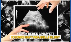 Erkek bebek cinsiyeti kaçıncı haftada belli olur?