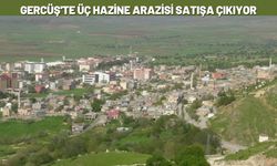 Gercüş'te Üç Hazine Arazisi Satışa Çıkıyor