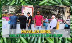 Havalar Isındı, Salatalık Fiyatı 5 Lira Oldu!