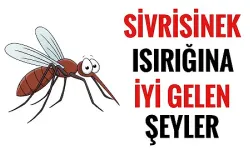 Sinek, böcek ısırığına hangi krem iyi gelir?
