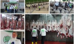 Umut Kervanı'ndan Kurban Bayramı seferberliği: Et yardımları yarın kapılarda olacak