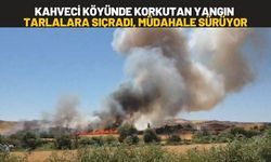 Kahveci Köyünde Korkutan Yangın Tarlalara Sıçradı, Müdahale Sürüyor