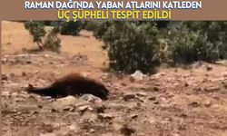 Raman Dağı’nda Yaban Atlarını Katleden Üç Şüpheli Tespit Edildi