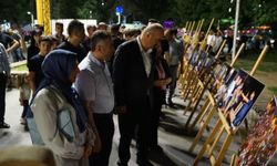 Batman Üniversitesi'nden 15 Temmuz'a Özel Webinar ve Fotoğraf Sergisi