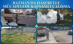 Batman'da Haşereyle Mücadelede Kapsamlı Çalışma
