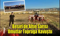 Beşiri'de Altın Sarısı Umutlar Toprağa Kavuştu