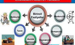 Birincil, ikincil, üçüncül ekonomik faaliyet nedir?