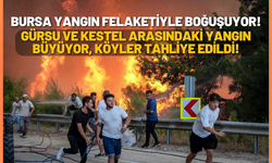Bursa Yangın Felaketiyle Boğuşuyor: Gürsu ve Kestel Arasındaki Yangın Büyüyor, Köyler Tahliye Edildi!