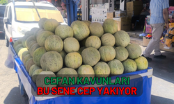 Cefan Kavunları bu sene cep yakıyor