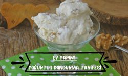 Ev Yapımı Yoğurtlu Dondurma Tarifesi