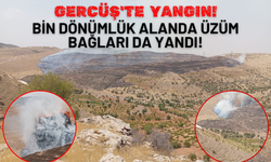 Gercüş'te yangın! Bin dönümlük alanda üzüm bağları da yandı!