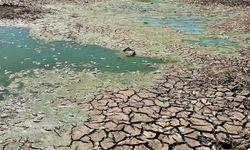 Gölet kurudu, balıklar telef oldu